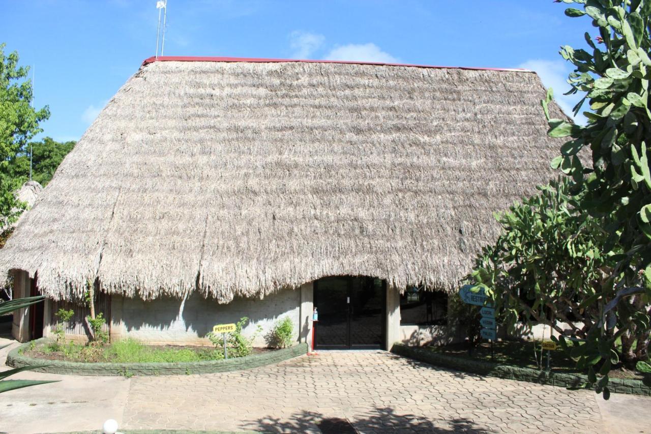 Calico Jack'S Resort Sayab Camp Eksteriør billede